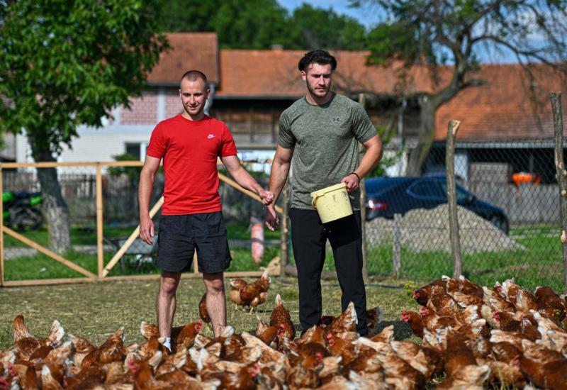 Bez košulja ali sa šarmom - Farma koka iz BiH postaje trend na internetu